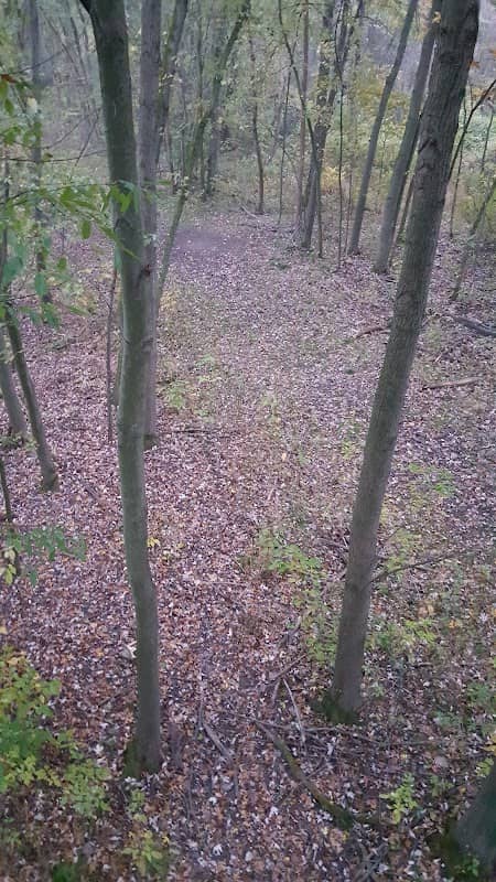 Warren Wildlife Area - Image 2