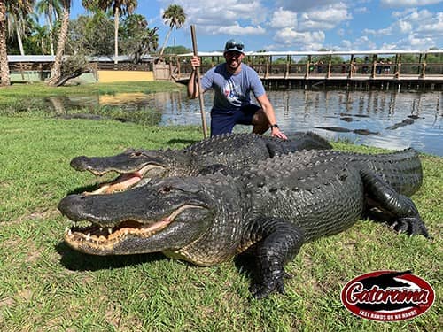 Gatorama Inc. - Image 2