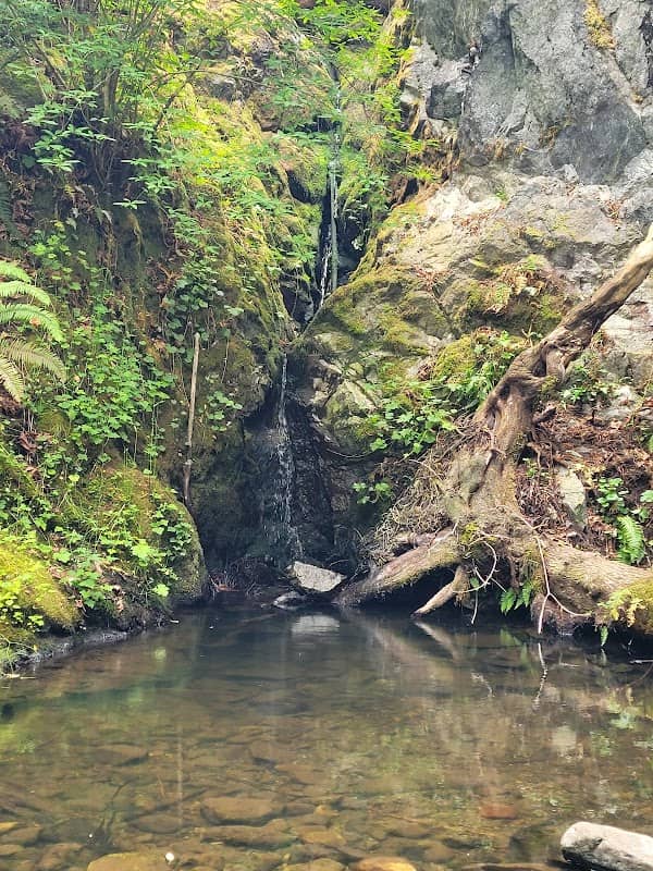Pedder Bay Falls - Image 1