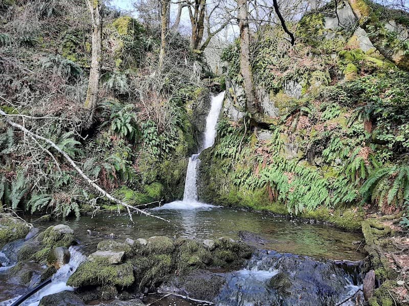 Pedder Bay Falls - Image 2