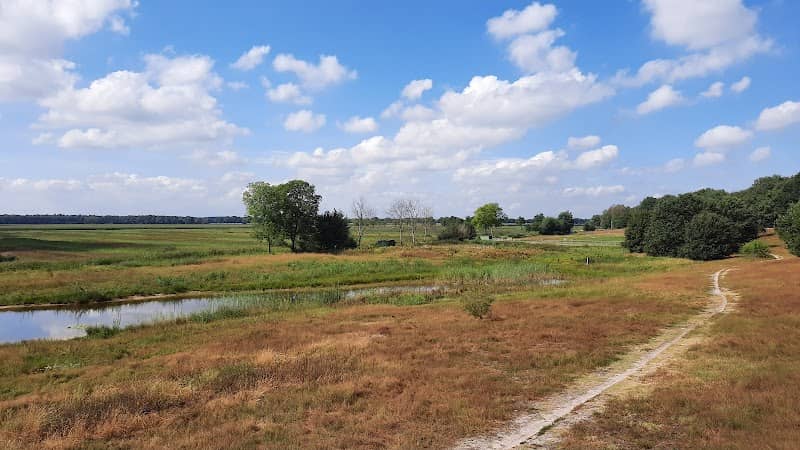 Loonse turfvaart - Image 1