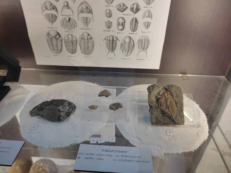 Palaeontological Research and Education Centre - Image 1