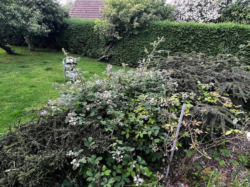 Monarfon Holiday Cottage - Image 1