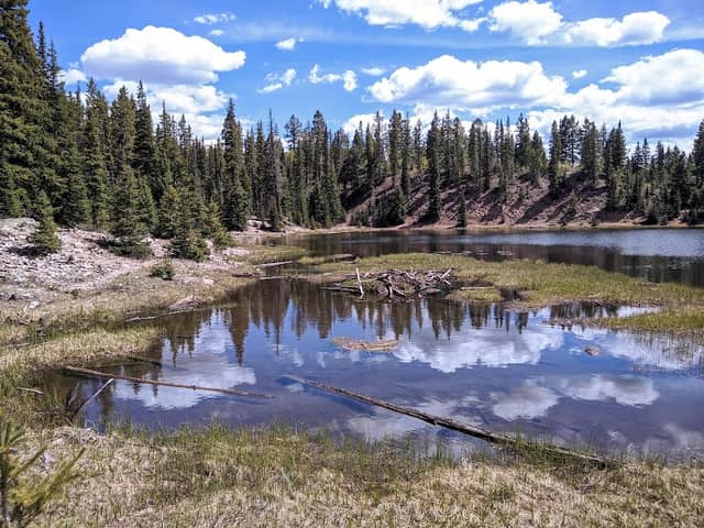 Potato Lake Trailhead - Image 2