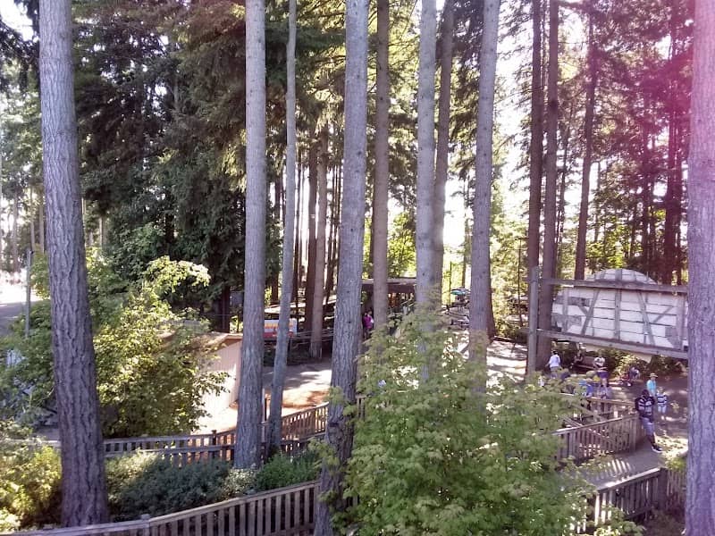 Timberhawk: Ride of Prey - Image 1