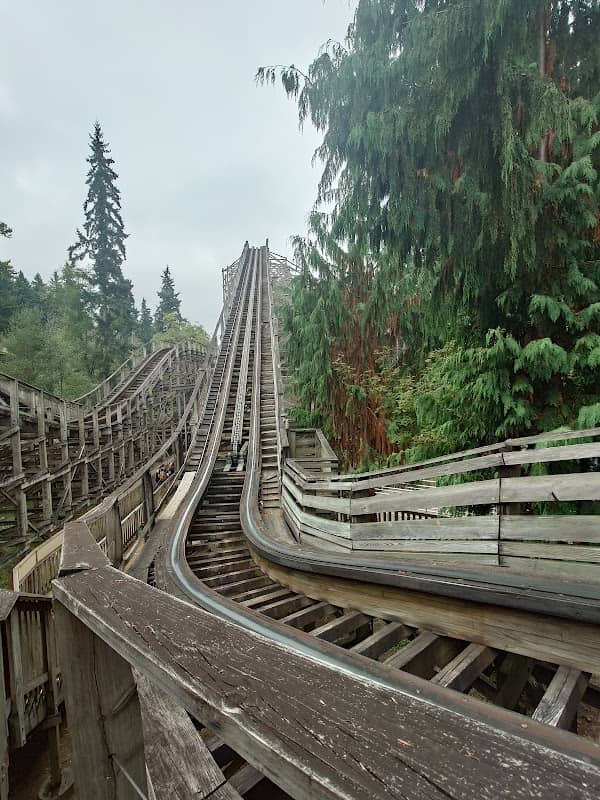 Timberhawk: Ride of Prey - Image 2