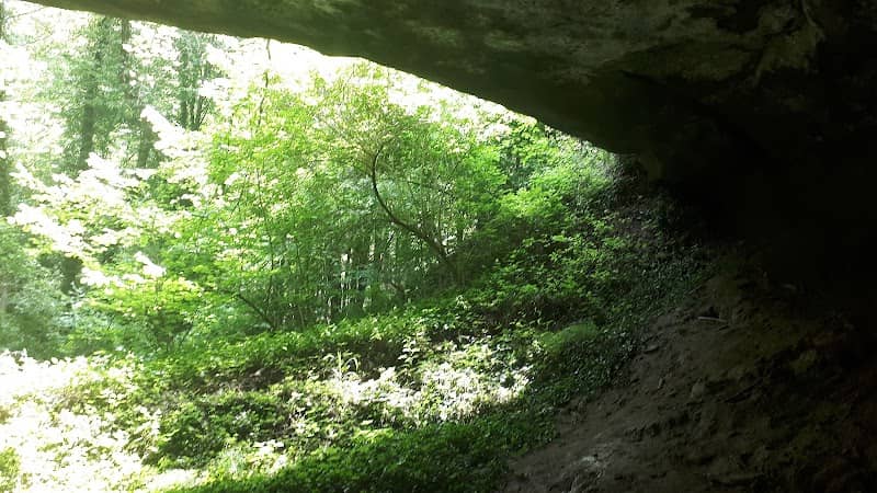 Gola del Savena - Image 2