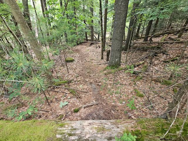 Northwest Bay Brook Falls - Image 2