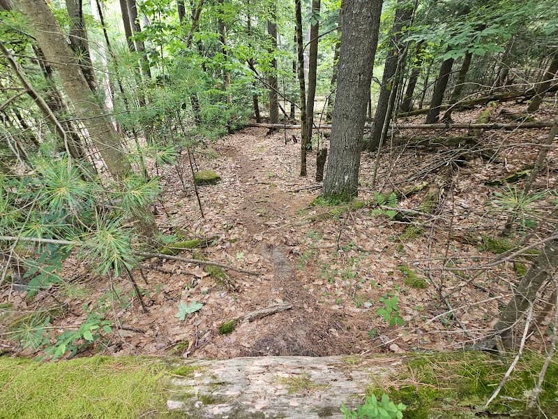 Northwest Bay Brook Falls - Image 1
