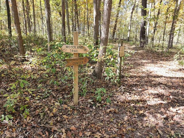 Woodland Trail - Image 1