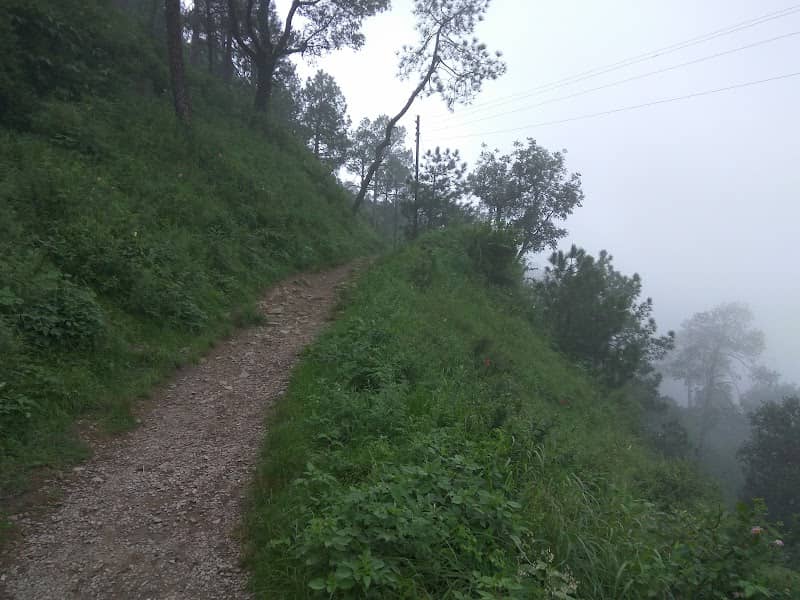 Gilbert Nature Trail - Image 1