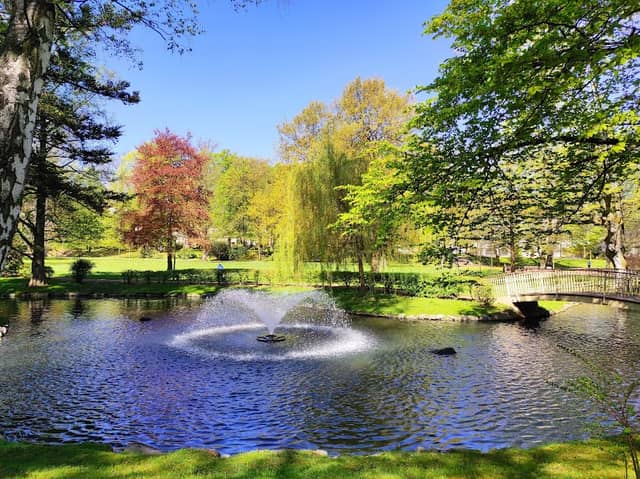 Arthur-Richter Park - Image 1