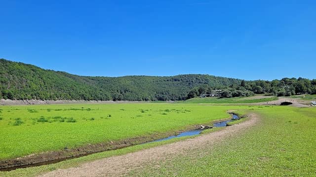 Aselbachmündung - Image 1