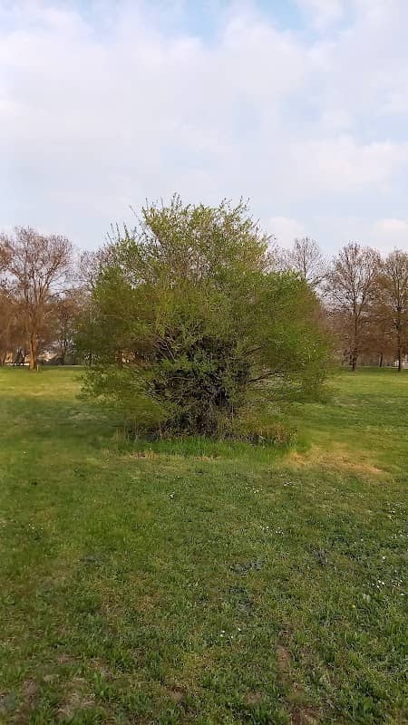 Parco della Serenissima - Image 2