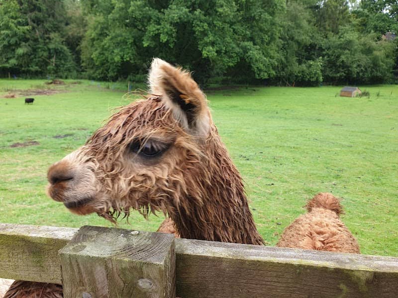 Rutland Farm Park - Image 2