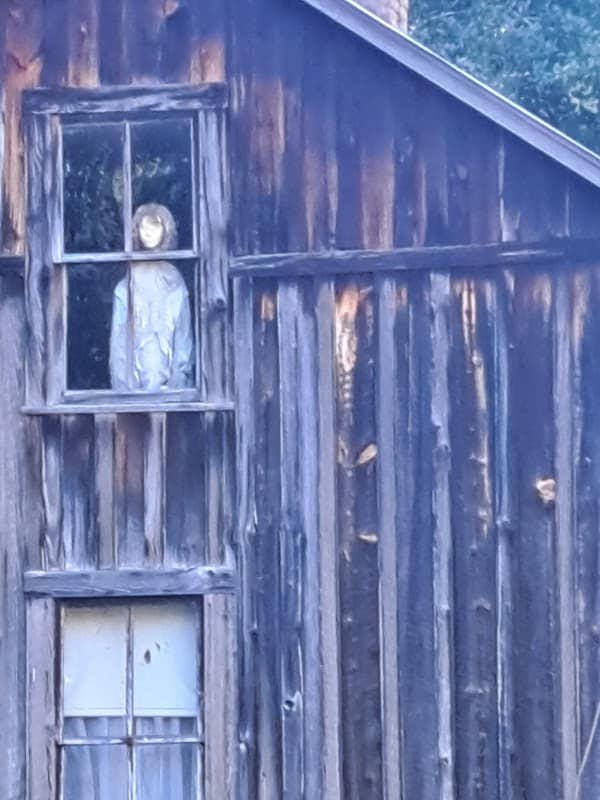 Butcher Hollow - Image 1