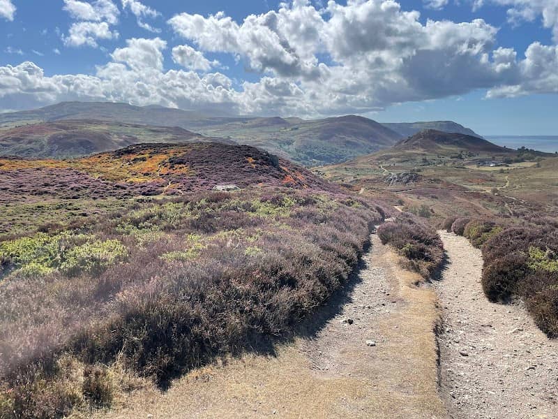 Mynydd y Dref - Image 1