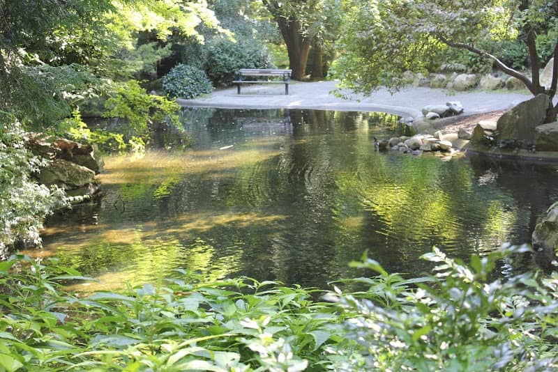 Friendship Garden - Image 2