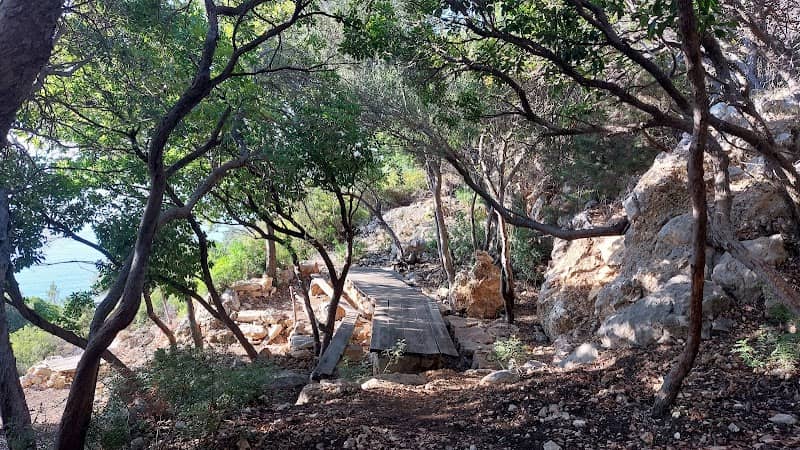 Picnic Area - Image 1