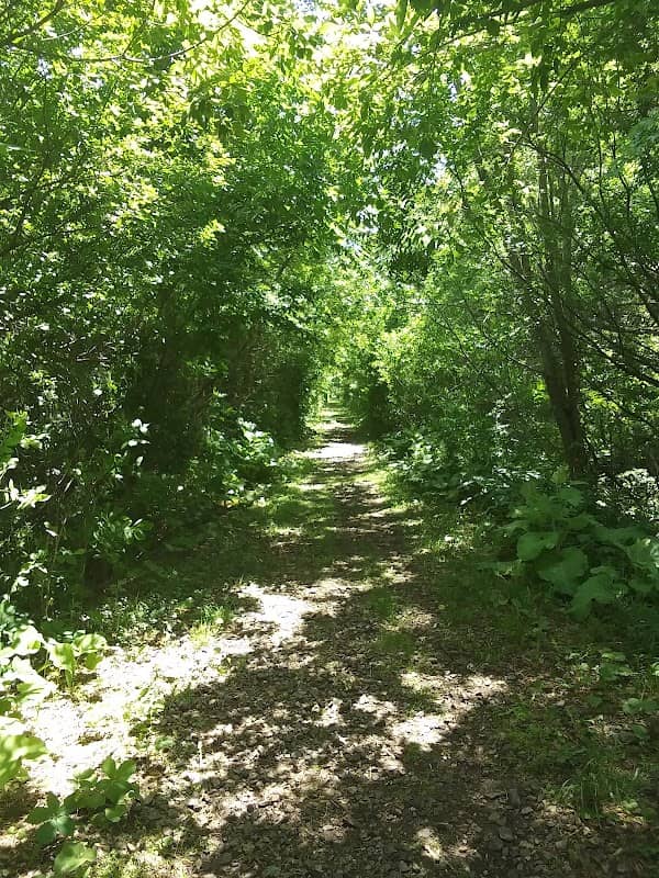 Shoff Park - Image 2