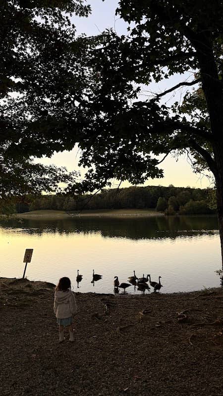 Cane Creek Park Duck Feeding Area - Image 2