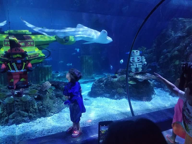 SEA LIFE Aquarium - Image 1
