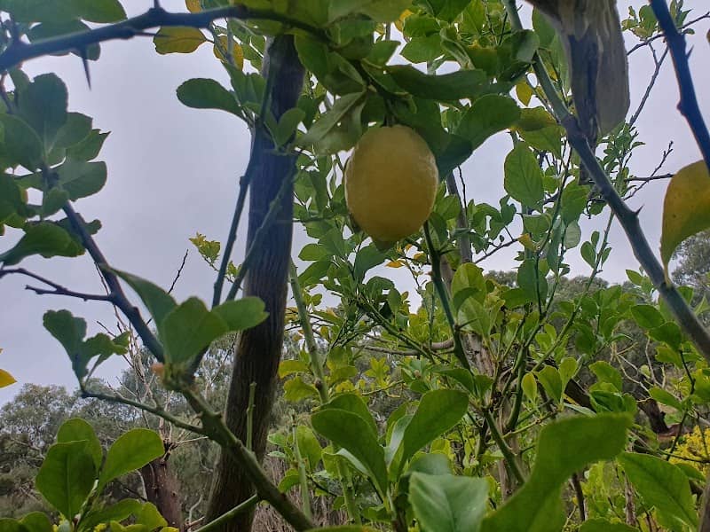 Limes Court Park - Image 2