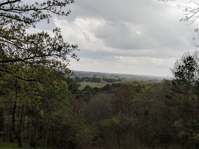 Davey Dogwood Park - Image 1