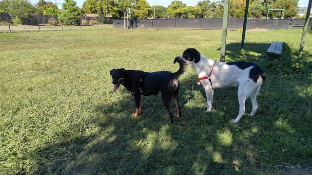 Eden Greenway Dog Park - Image 2