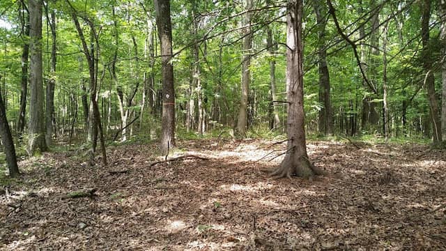Old Farm Sanctuary - Image 2