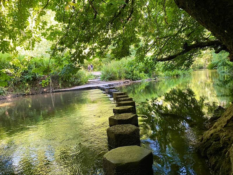 Stepping Stones Walk - Image 1