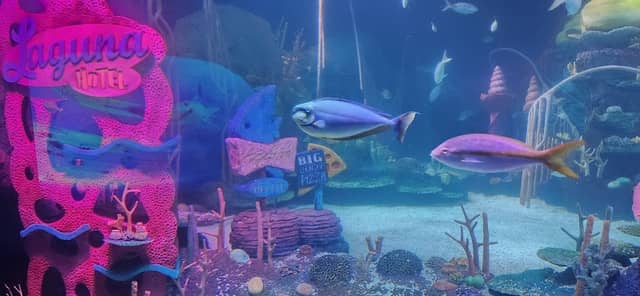 SeaLife Aquarium at LEGOLAND - Image 2