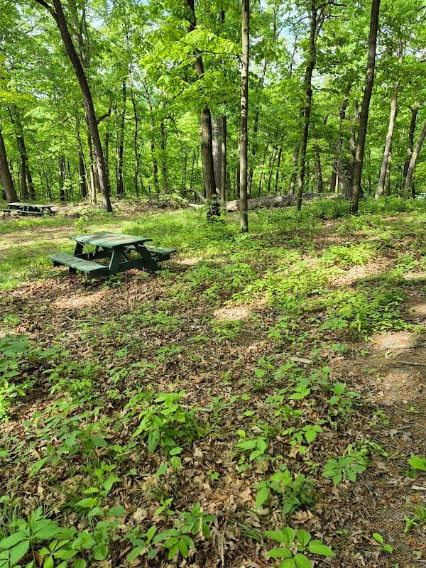 Patterson Community Park - Image 2