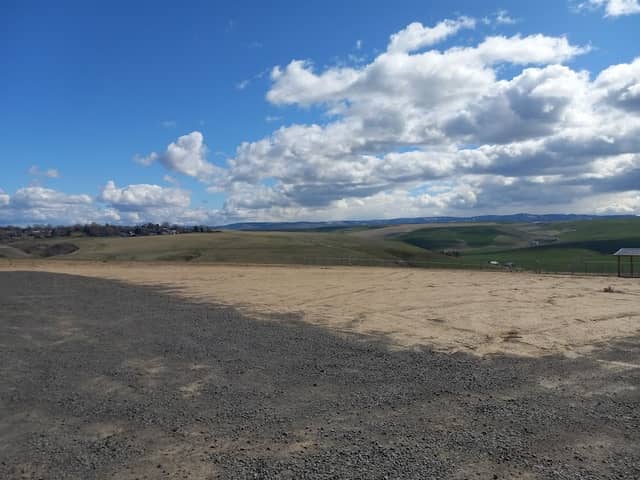 Eagle Scout Dog Park - Image 2