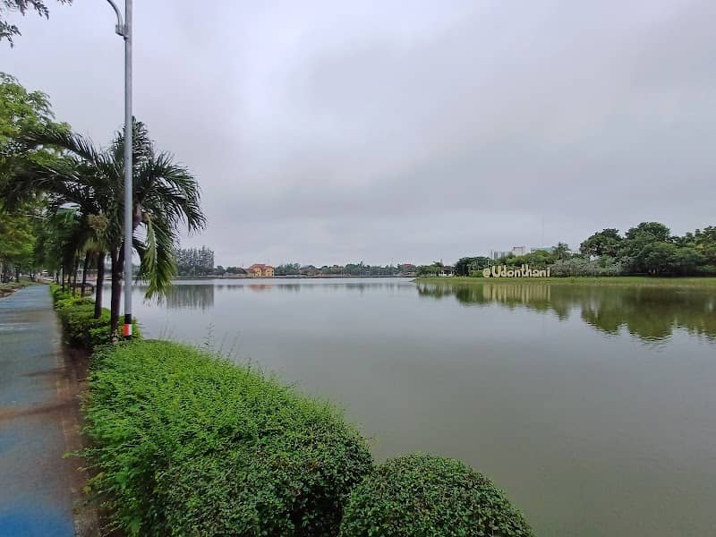 Duck In Park - Image 1