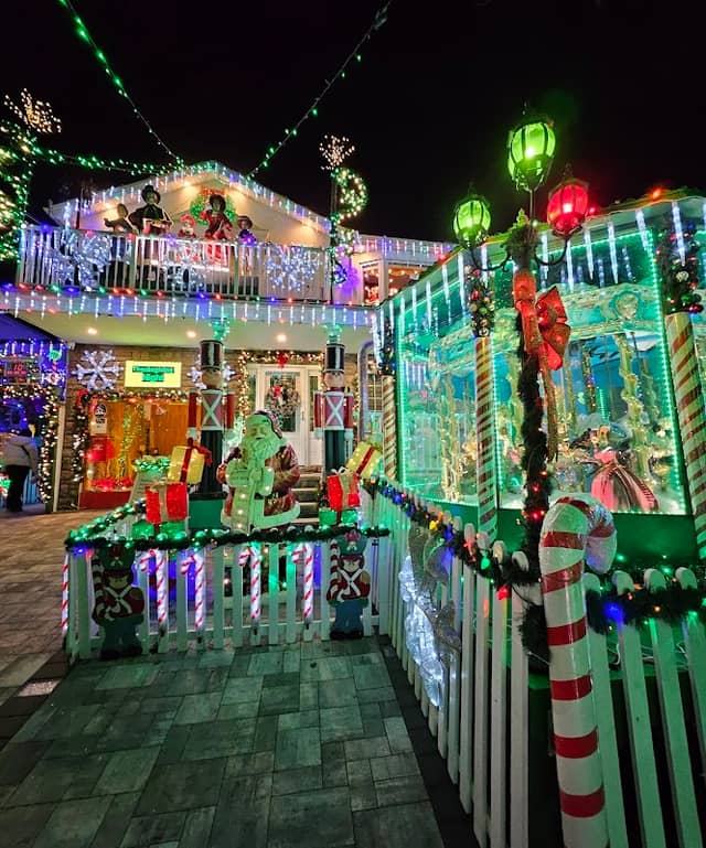 Lights for Life - Image 2