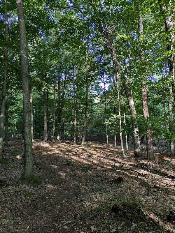 Embayment Lakes Nature Preserve - Image 1