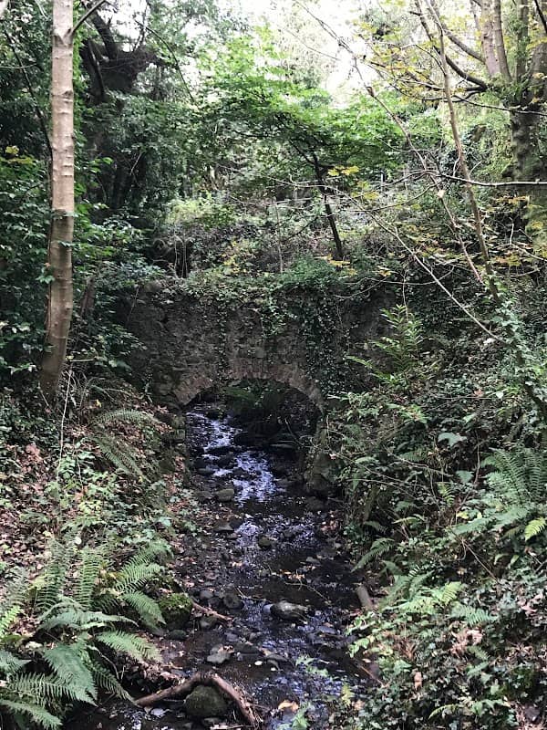 Oakfield Glen and Bashfordsland Wood - Image 1