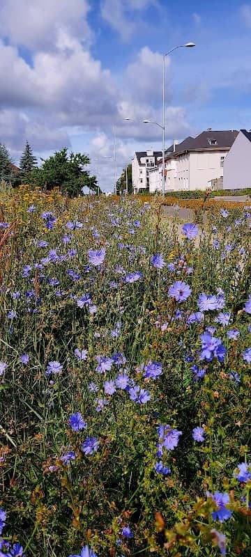 Płaskowzgórze Warszewskie - Image 1