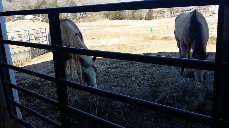 Carey Horse Farm - Image 1