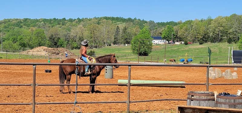 Carey Horse Farm - Image 2