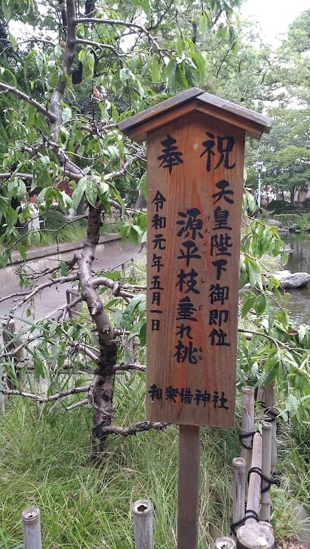 源平枝垂れ桃 - Image 2
