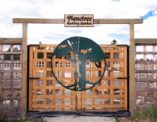 Planetree Healing Garden - Image 1