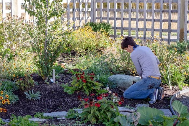 Planetree Healing Garden - Image 2