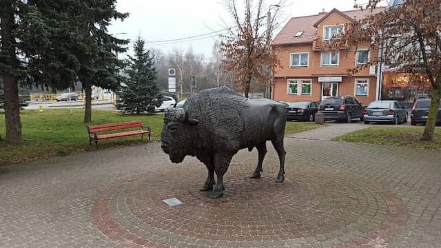 Bison monument in Zambrow - Image 1