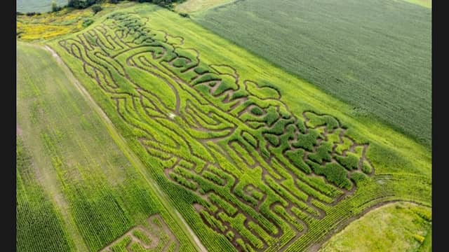 Lazy Lilac Farm - Image 1