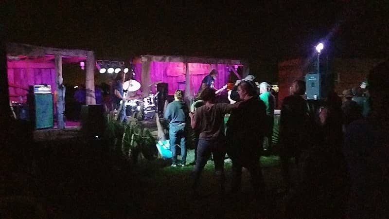 T-Bois Blues Festival - Image 1