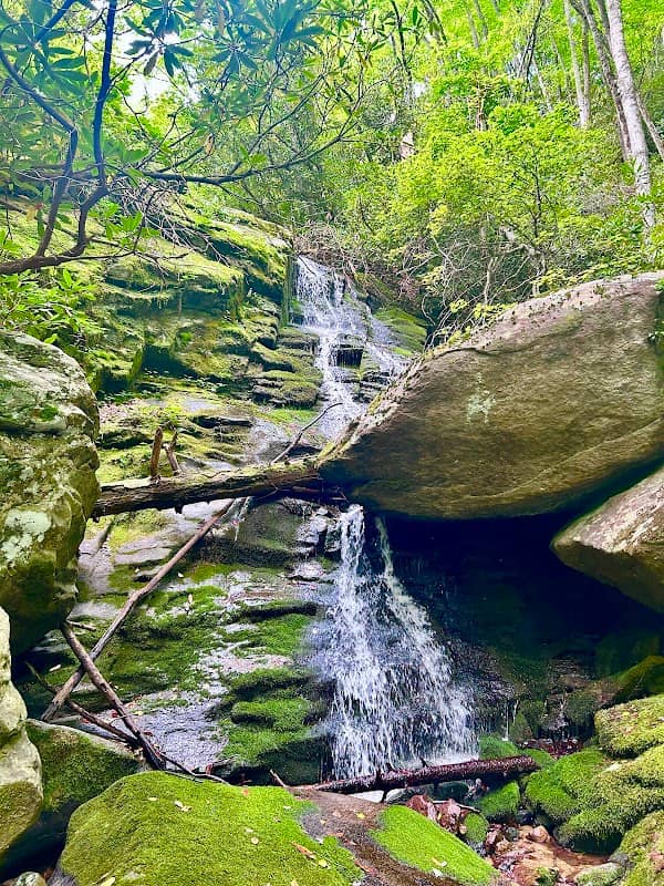 Little Lost Cove Trailhead - Image 1