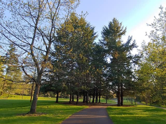 Roegner Park - Image 2