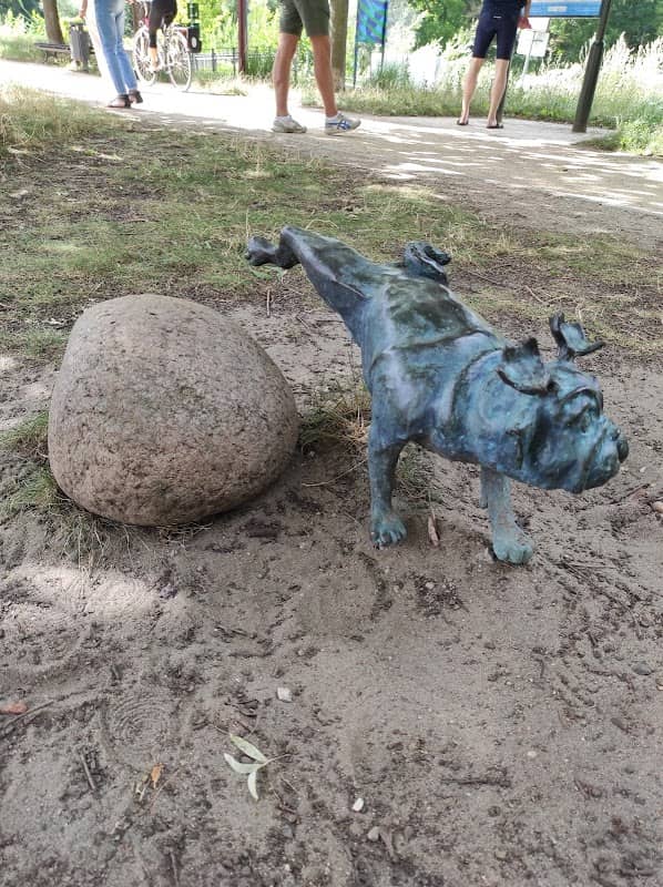 Waldmops am alten Stadtbad - Image 2